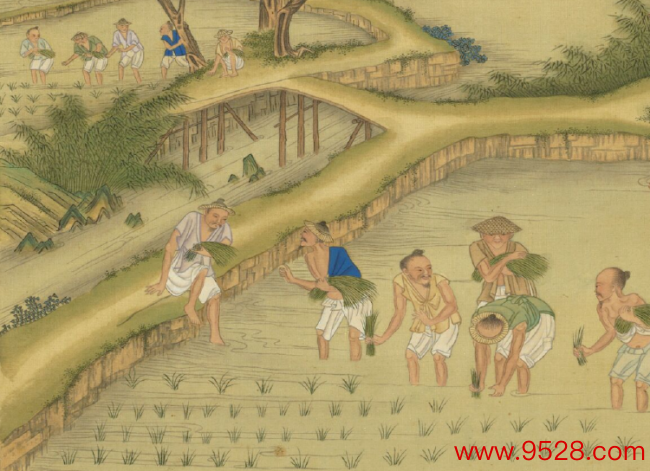 耕织图册之拔秧、插秧（局部）。现藏于台北故宫博物院