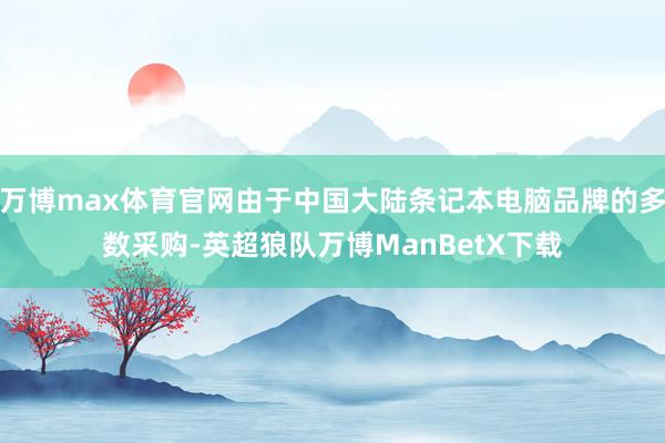 万博max体育官网由于中国大陆条记本电脑品牌的多数采购-英超狼队万博ManBetX下载