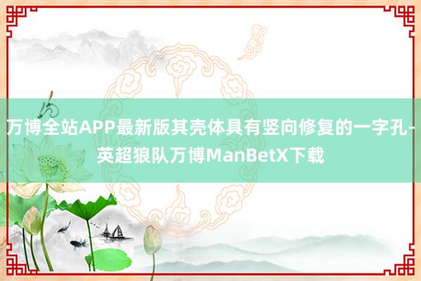 万博全站APP最新版其壳体具有竖向修复的一字孔-英超狼队万博ManBetX下载
