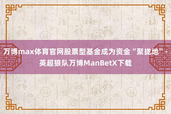 万博max体育官网股票型基金成为资金“聚拢地”-英超狼队万博ManBetX下载